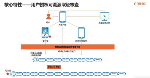 如何实现用户通信授权的可信、可知、可追溯 通信授权服务技术解读与信息系统集成